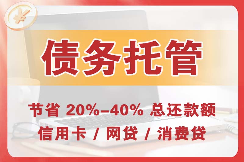 东西湖债务托管